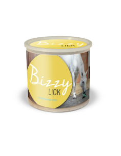 Pierre Bizzy Horse "Bizzy Lick" Pomme 2