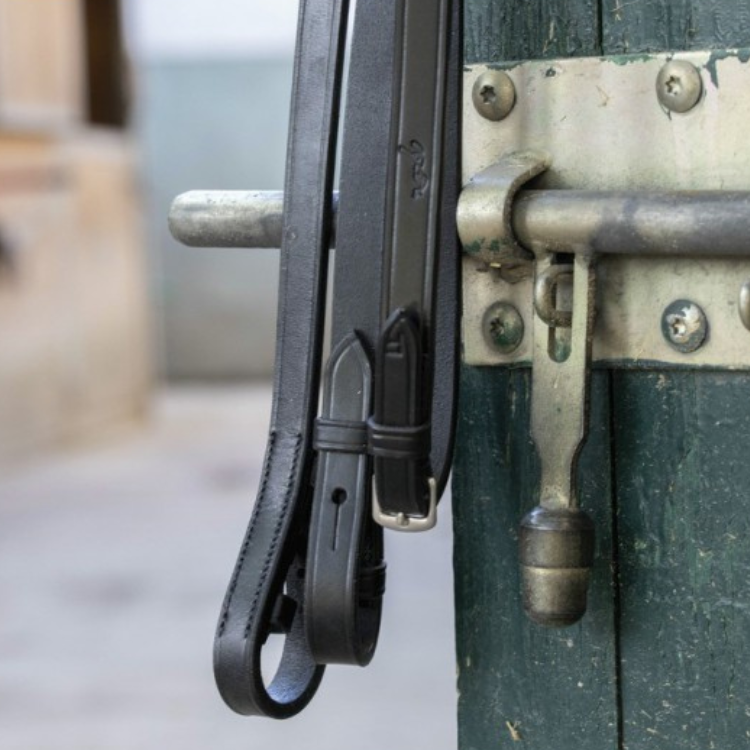 Bridon Penelope "Daily" Noir