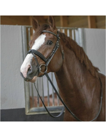 Bridon Penelope "Daily" Noir