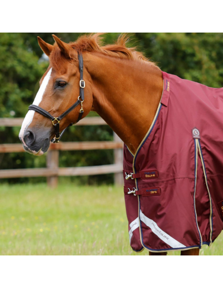 Couverture Premier Equine Buster Zero BORDEAU