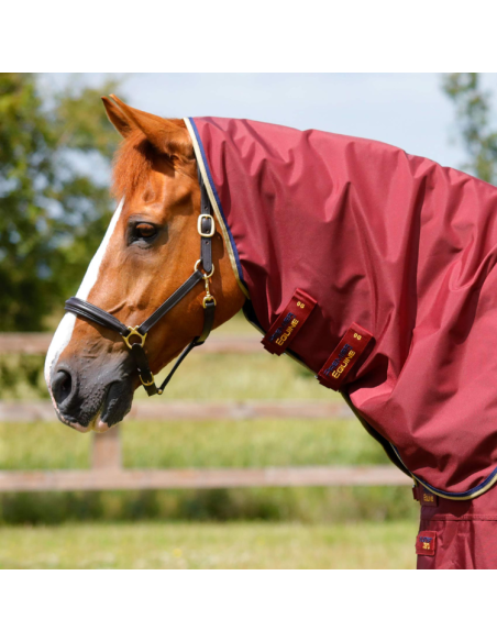 Couverture Premier Equine Buster Zero BORDEAU