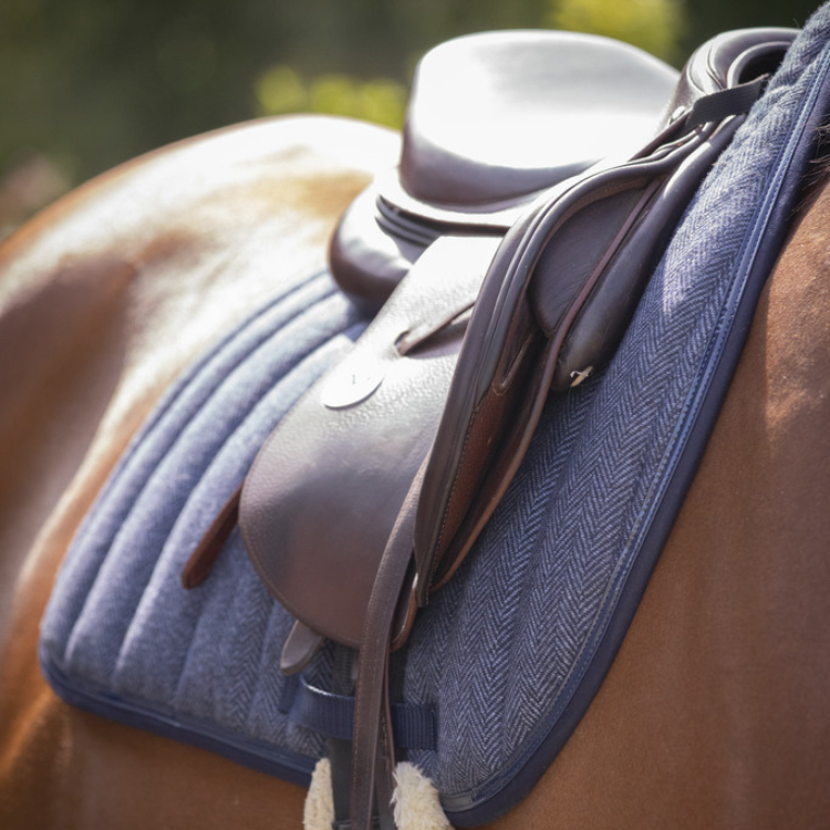 Tapis De Selle Paddock Wooltouch Bleu