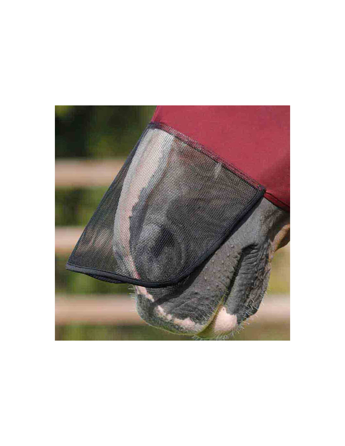 Guêtres Anti-insectes Pour Cheval Premier Equine - Maille Respirante, Protège Des Mouches Et Insectes