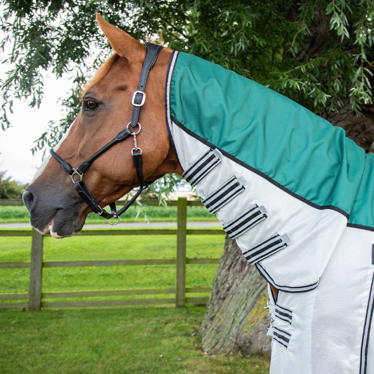 Couverture Anti-Mouches Premier Equine ShowerTex Vert