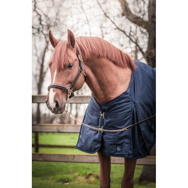 Longe Cheval de Présentation