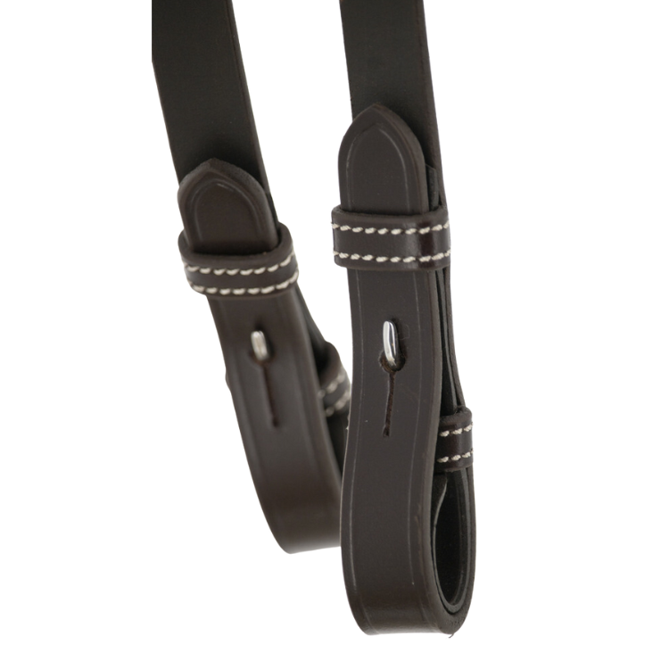 Rênes Pénélope "Howlett" Havane