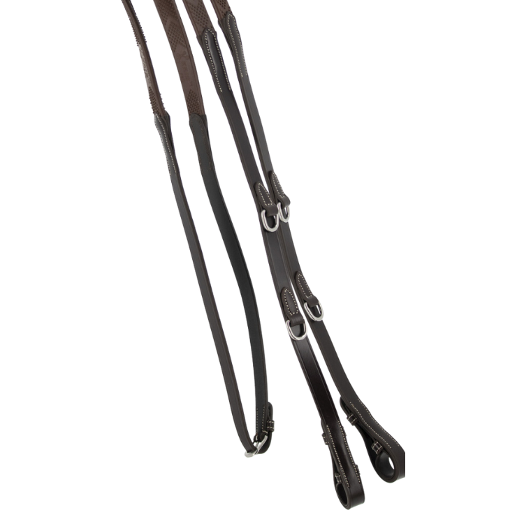 Rênes Pénélope "Howlett" Havane