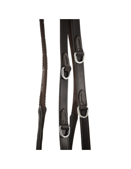 Rênes Pénélope "Howlett" Havane