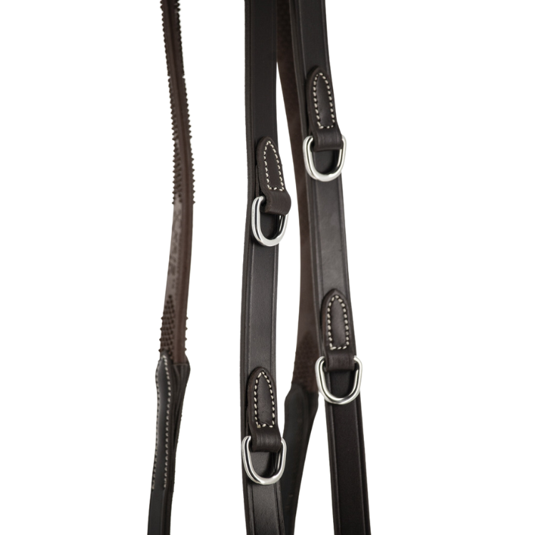 Rênes Pénélope "Howlett" Havane