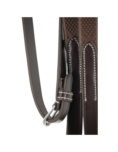 Rênes Pénélope "Howlett" Havane