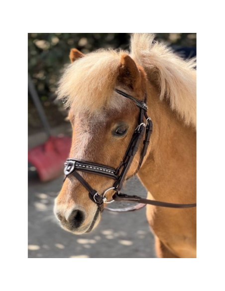 Bridon Penelope Eden Havane