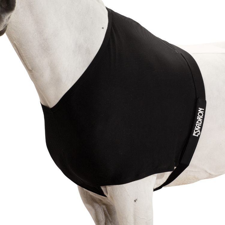 Protection De Poitrail Eskadron noir