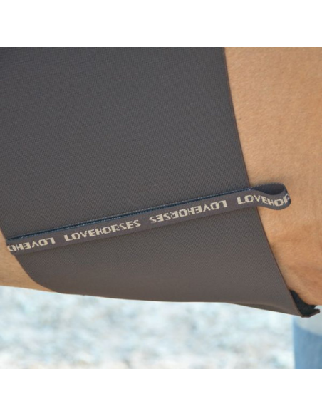 Bande de respect Lovehorses Deluxe MARRON