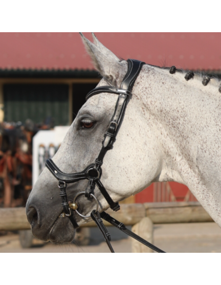 Bridon Jump'In New York Noir
