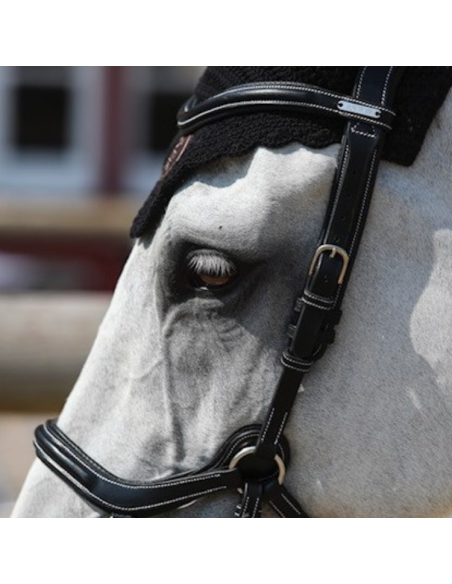 Bridon Jump'In New York Noir