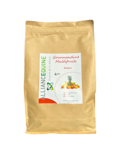 Friandises Alliance Equine Gourmandine Multifruits