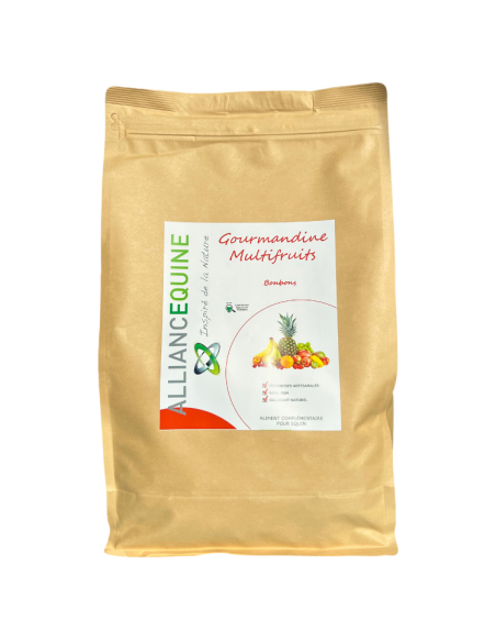 Friandises Alliance Equine Gourmandine Multifruits