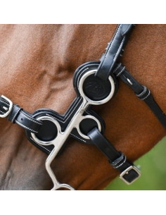 Protection Jump'In Pour Hackamore Havane 2