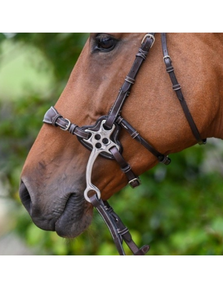 Hackamore Fiore Multianello In Pelle | Naso Per Cavallo - Showman | Fatto In India