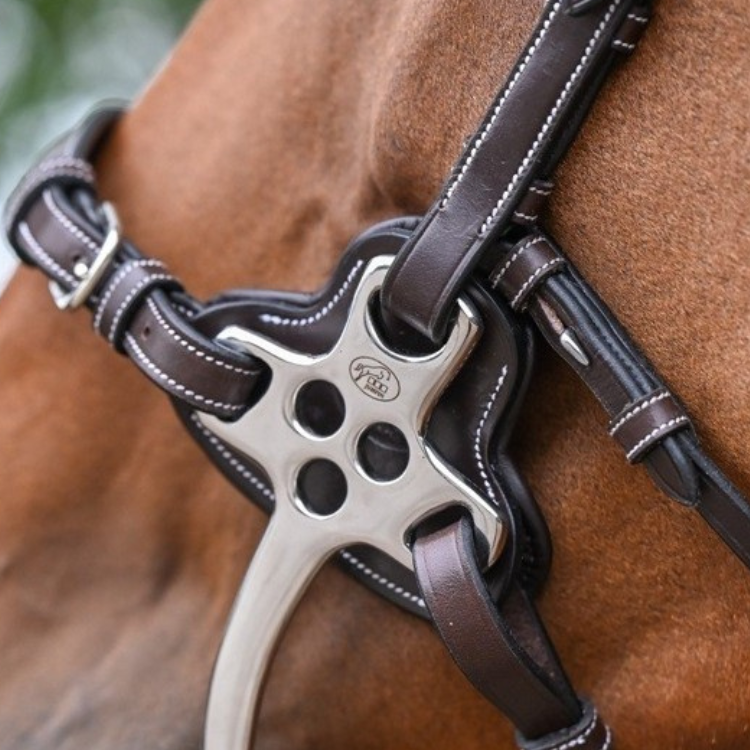 Jump In Leather Hackamore Long Shanks Rectangle Noseband Black