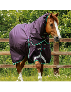Couverture Premier Equine Buster 200G Avec Couvre Cou Snug-Fit Vert 2