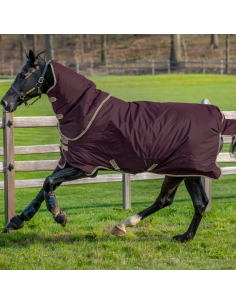 Couverture Horseware Amigo Hero Ripstop Plus 0g figue