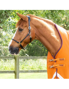 Couverture Premier Equine Buster Hardy 200g Orange 2
