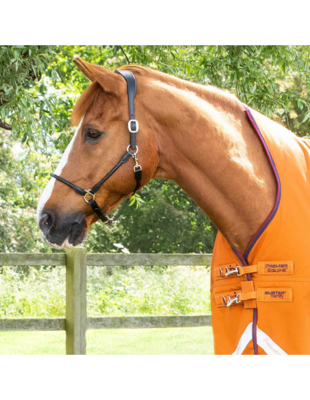 Couverture Premier Equine Buster Hardy 200g Orange