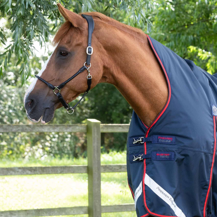 Couverture Premier Equine Buster Hardy 200g Marine