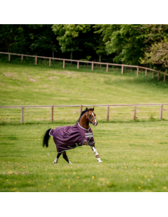 Couverture Horseware Amigo Hero Ripstop 200g figue