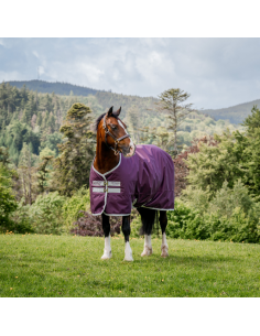 Couverture Horseware Amigo Hero Ripstop 200g figue 2