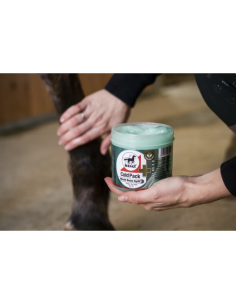Gel Rafraîchissant Leovet "Cold Pack" 500ml 2
