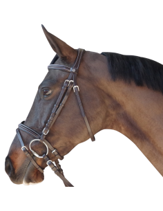 Bridon Canter Surpiqué Combiné