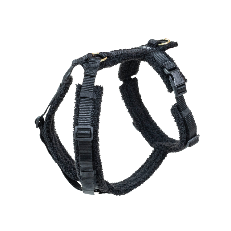 Harnais Kentucky Pour Chien Active Teddy Fleece NOIR