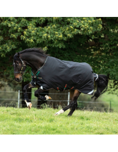 Couverture Horseware Rambo Original 200g leg arches noire