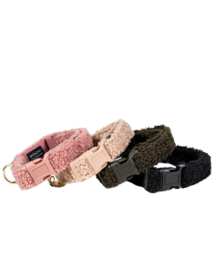 Collier Pour Chien Kentucky Teddy Fleece