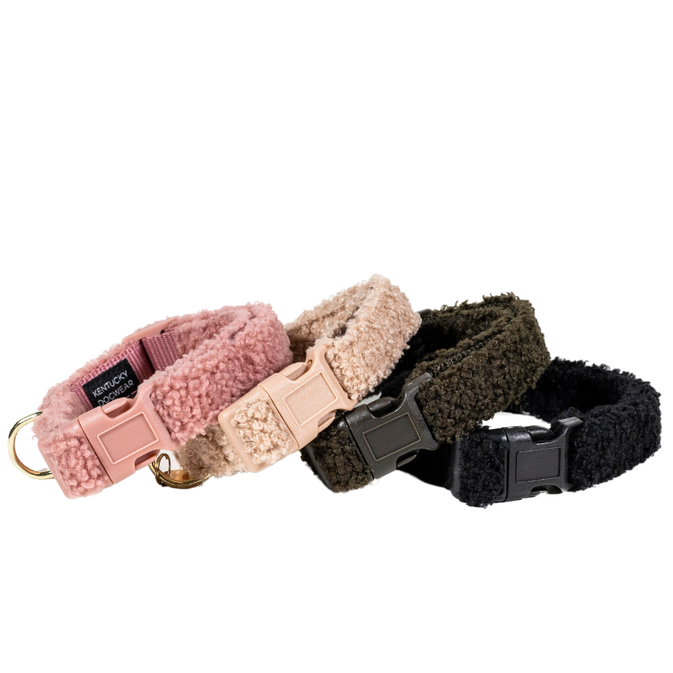 Collier De Poitrine Cheval Cuir Marron – Broderie Fleurie Turquoise – KK COMFYTACK