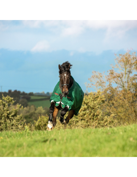 Couverture Horseware Rambo Original 100g Leg Arches vert/rouge