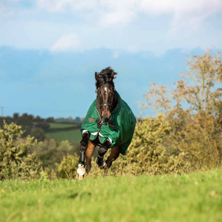 Couverture Horseware Rambo Original 100g Leg Arches vert/rouge