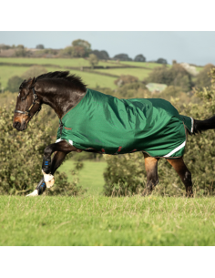 Couverture Horseware Rambo Original 100g Leg Arches marine/orange 2