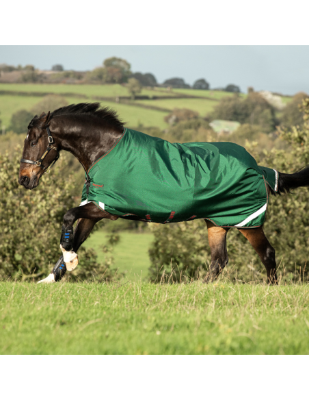 Couverture Horseware Rambo Original 100g Leg Arches vert/rouge