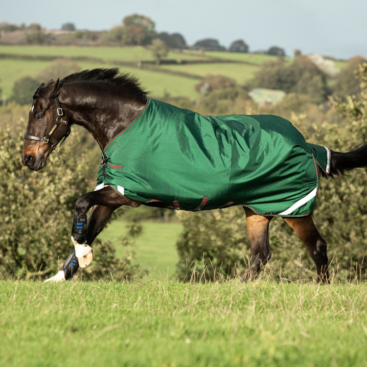 Couverture Horseware Rambo Original 100g Leg Arches vert/rouge