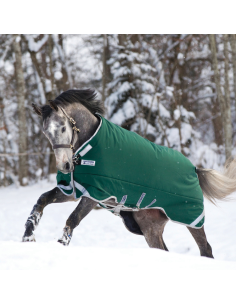 Couverture Horseware Rambo Original 400g Leg Arches vert 2