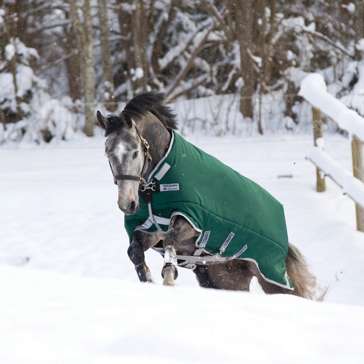 Couverture Horseware Rambo Original 400g Leg Arches vert