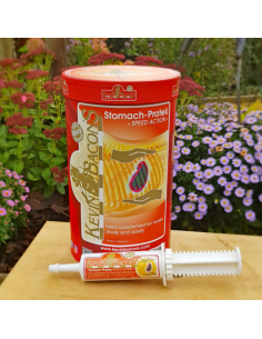 Kevin Bacon's Stomach-Protek Speed Action Syringe