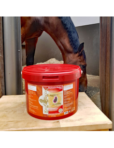 Complément Kevin Bacon's Stomach-Protek Assist