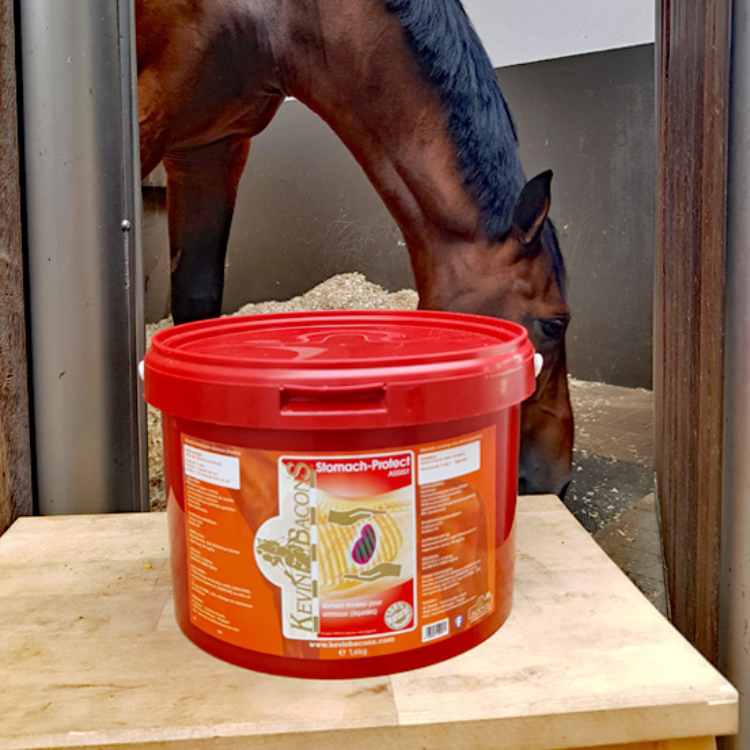 Complément Kevin Bacon's Stomach-Protek Assist