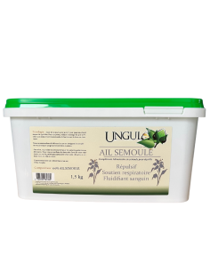 Ail Semoule Ungula