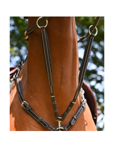 Martingale De Collier Jump'In Wednesday Et Crystal Havane