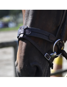 Bridon IHWT Evolution Soft T Contact Sans Pull-Back Avec Strass 2